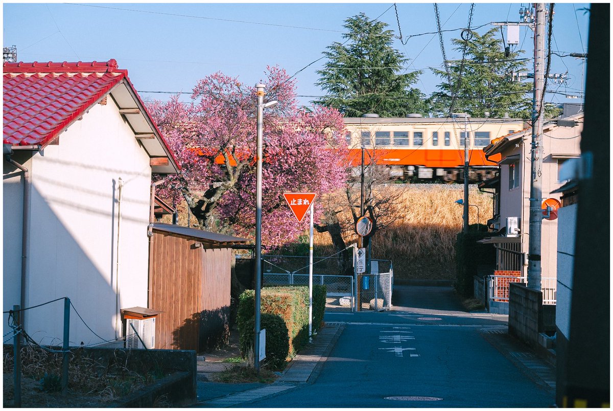 、、、 tweet media