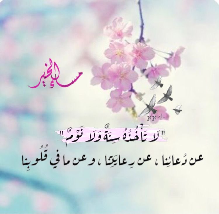 أم : محمد tweet media