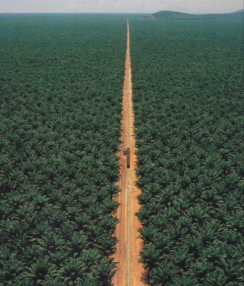 م عبدالعزيز السحيباني tweet media