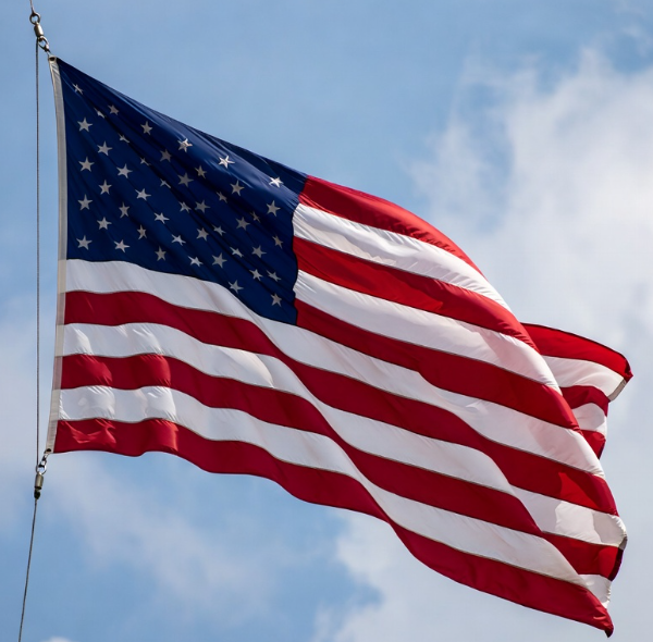 頼むぜエディタ tweet media