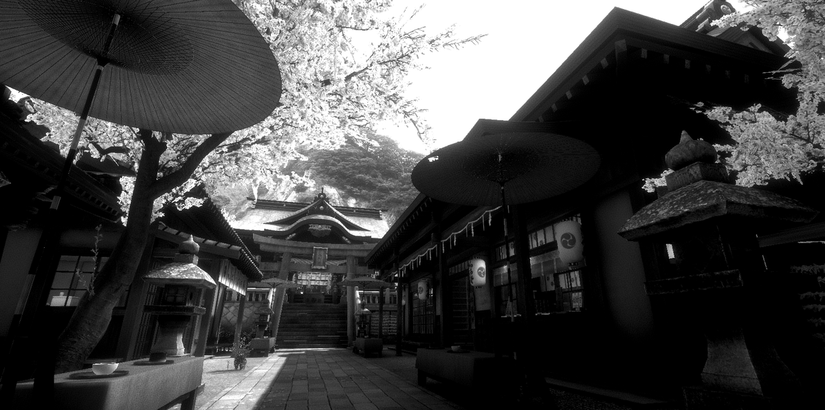 RootGentle tweet media