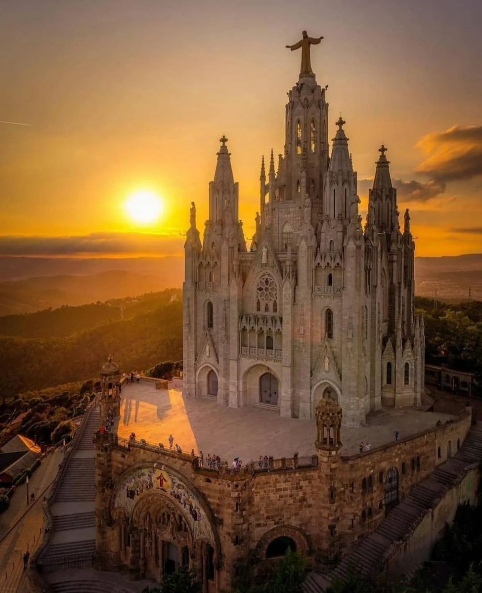 Wildscape Wonders tweet media