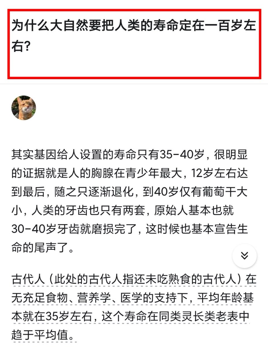 Alexander tweet media