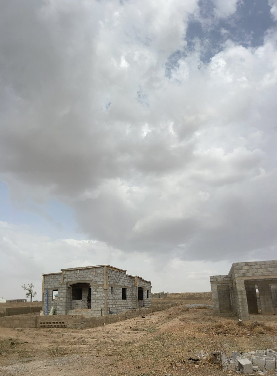 Leonie Mara tweet media