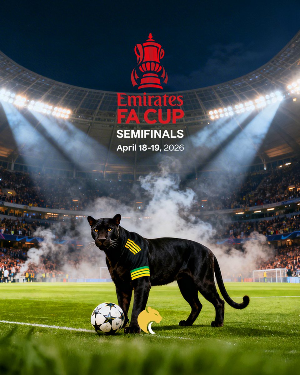 betpuma_'s tweet image. One step away from Wembley glory ⚽🏆

#FACup #FootballNight #SoccerFans #CupCompetition #MatchDay #BettingOdds #EnglishFootball #GoalTime #GameOn #SportsFans