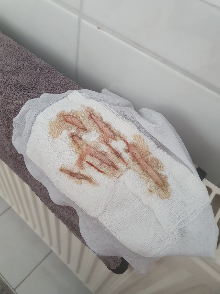 ♡Puppy's shedtwt!!♡ tweet media