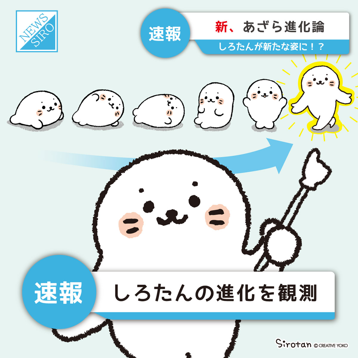 しろたんふんわりInfo tweet media