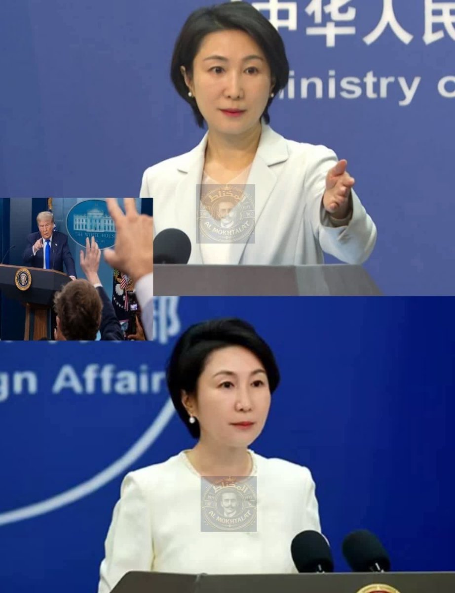 Sherif Sarhan🇦🇹🏹❤ tweet media