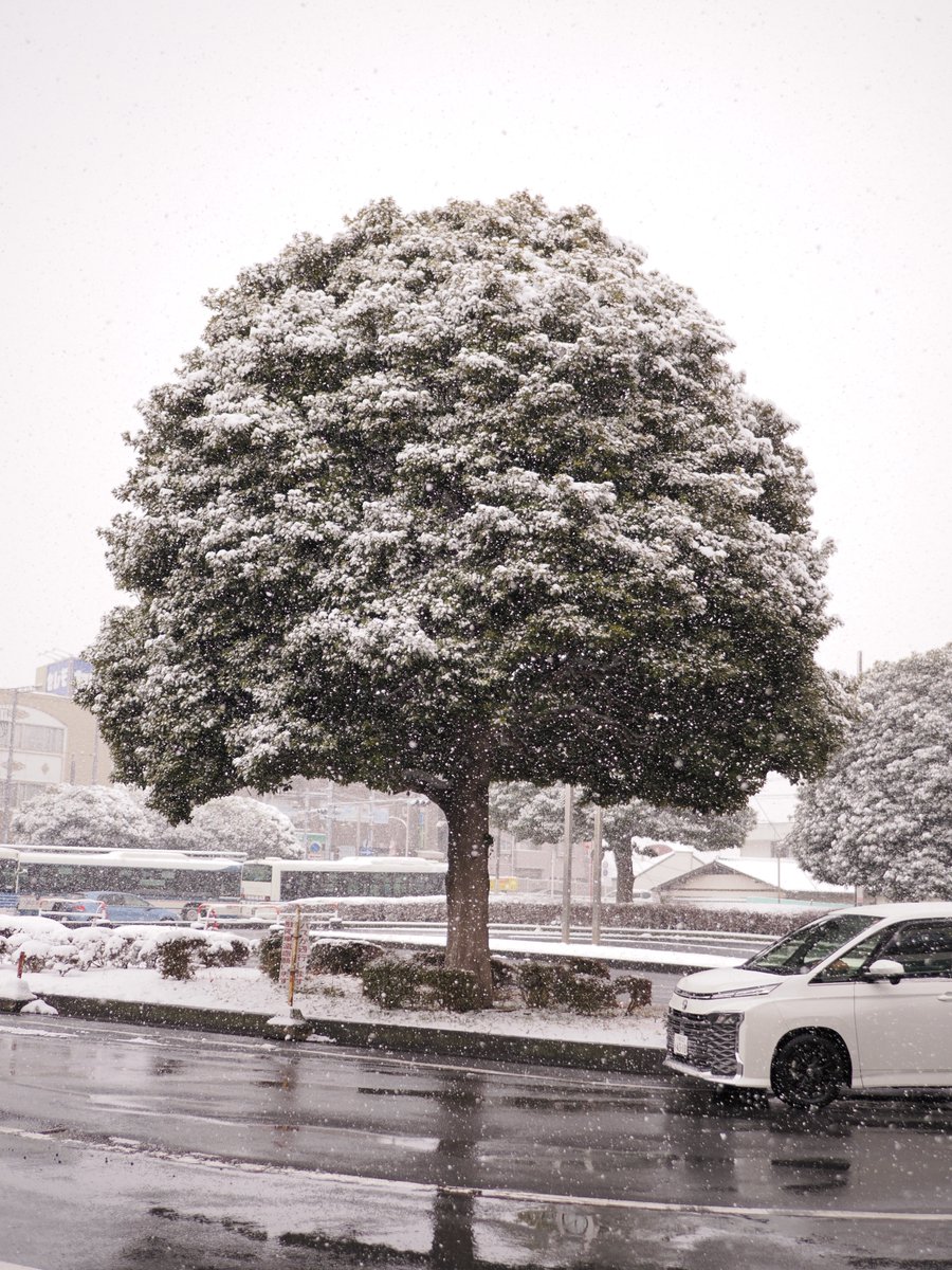 エヌ氏 tweet media