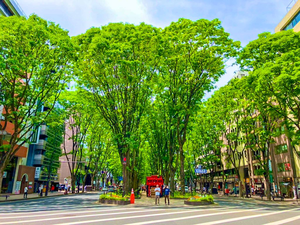 みやせん(宮城仙台の豆知識bot) tweet media