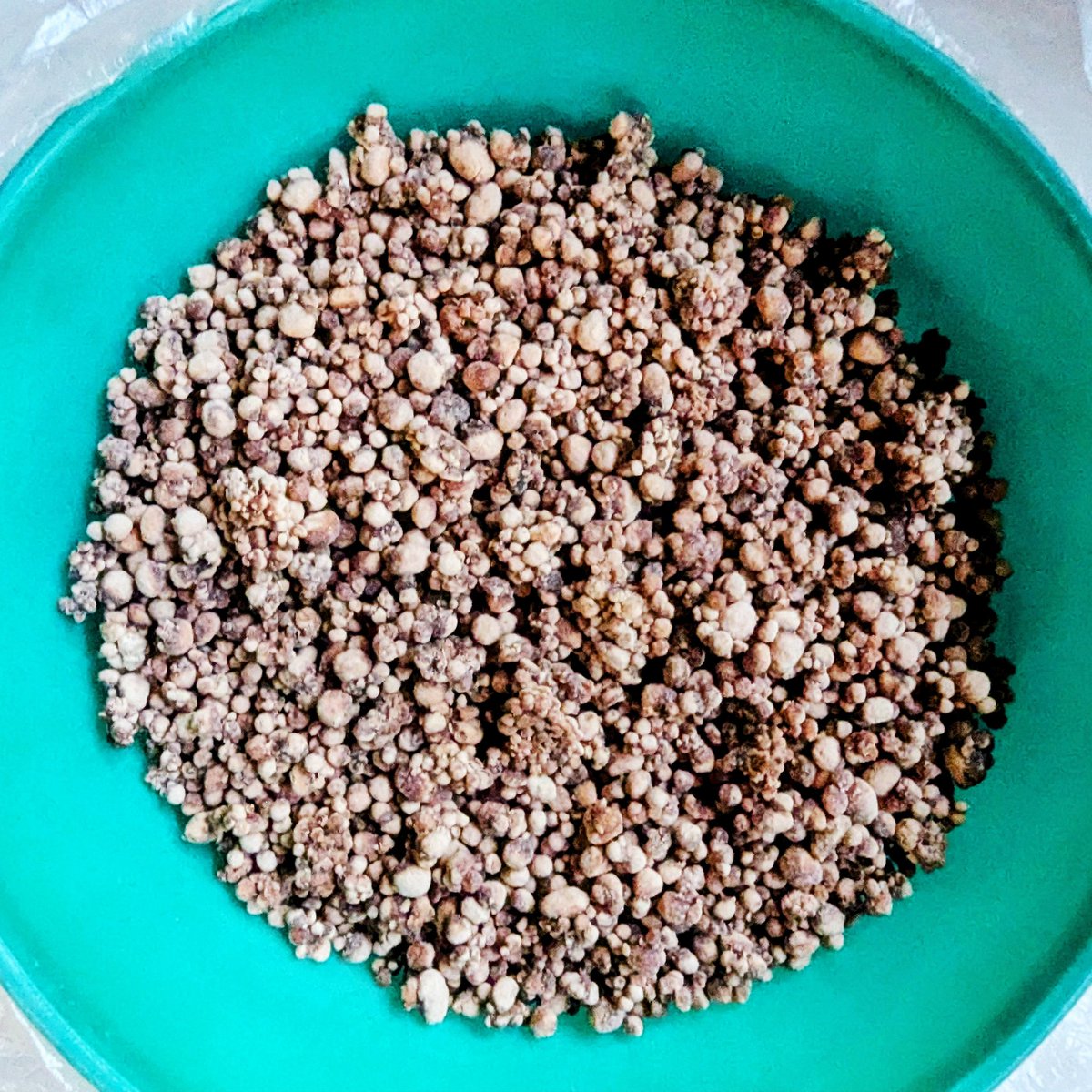 Tall Dad tweet media