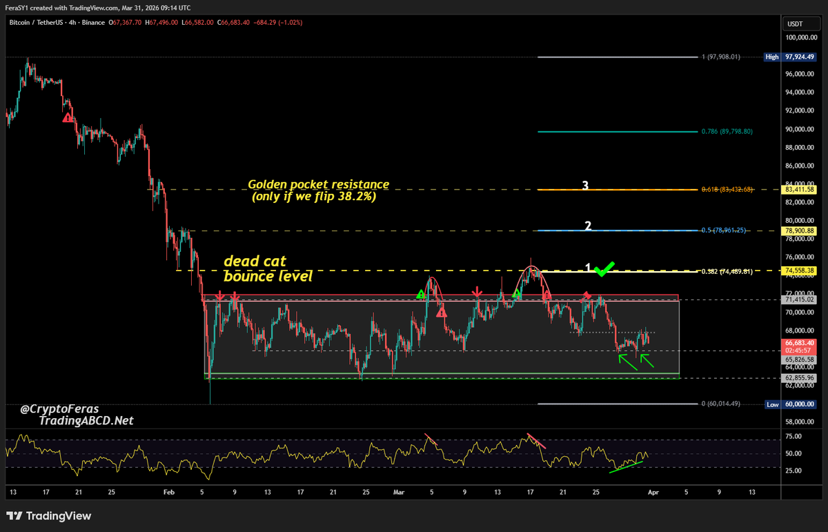 Crypto Feras  tweet media