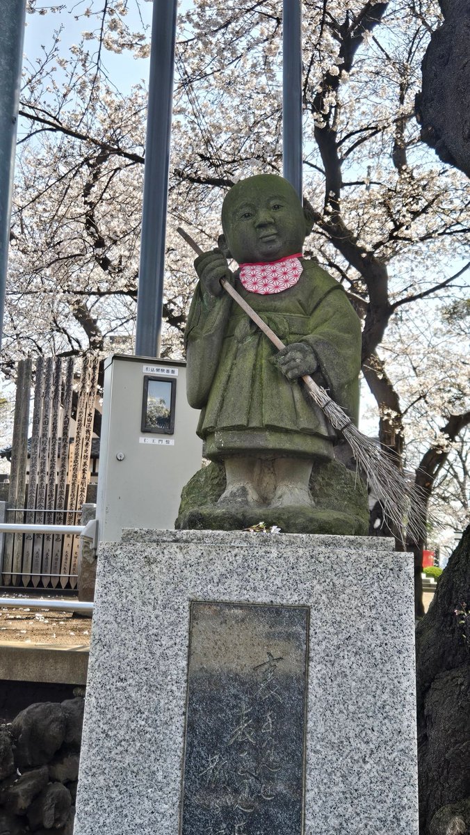 べティ tweet media