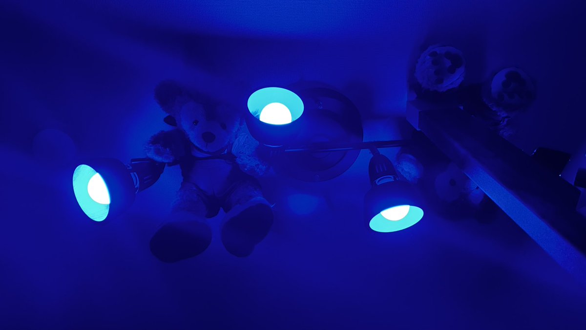 童(とん)＠占師 tweet media