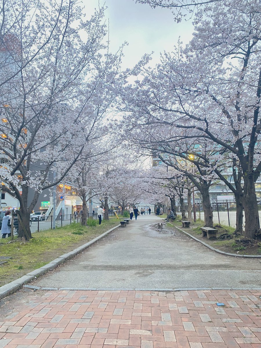 干晴🐥₁₀₁₃ tweet media