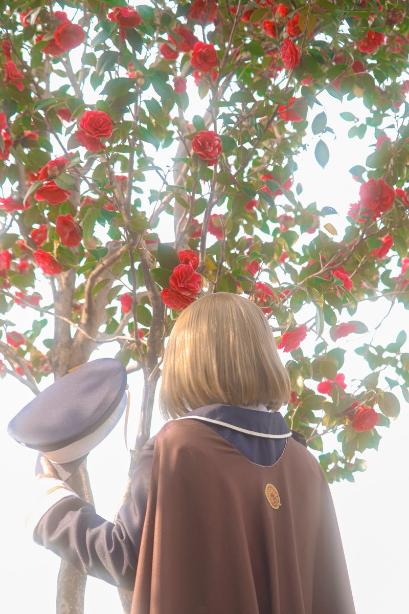 まろ茶屋 tweet media