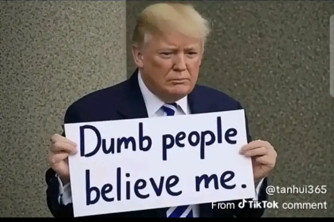 Gordy 🇨🇦 tweet media