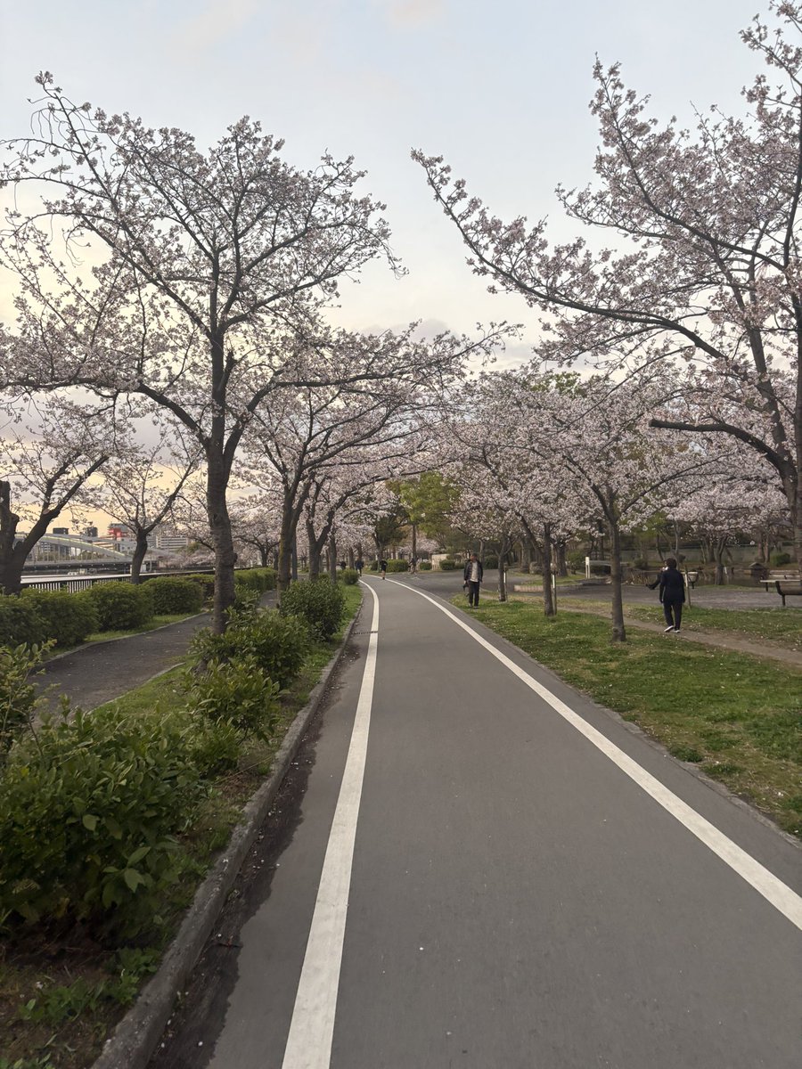 びしょ tweet media