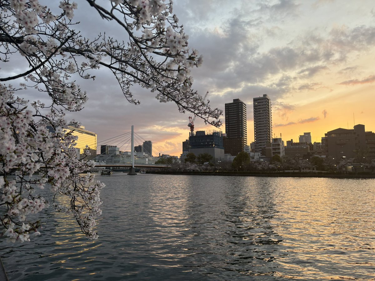 びしょ tweet media