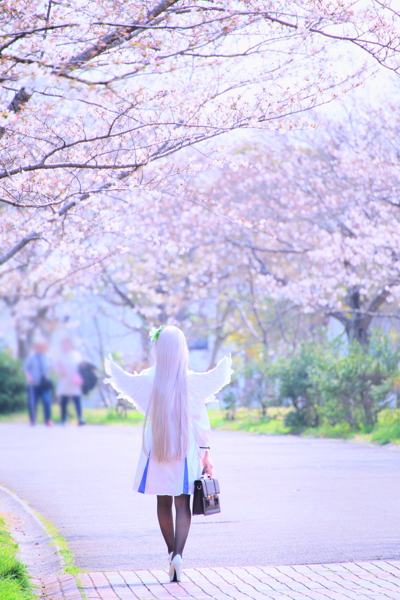 織花かの tweet media