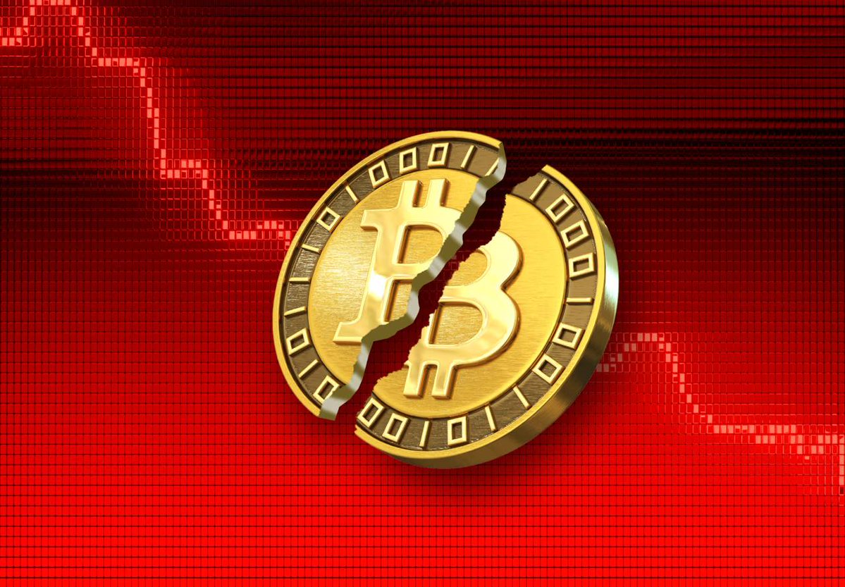 Crypto Rover tweet media