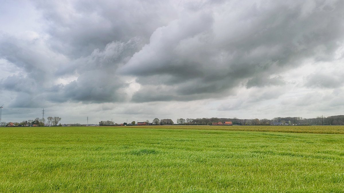 Luc Lambert tweet media