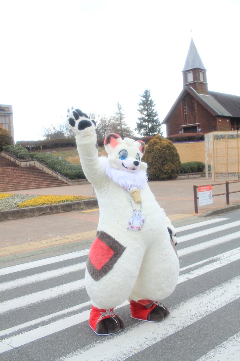 はやと/🐻❄️はくじゅん tweet media