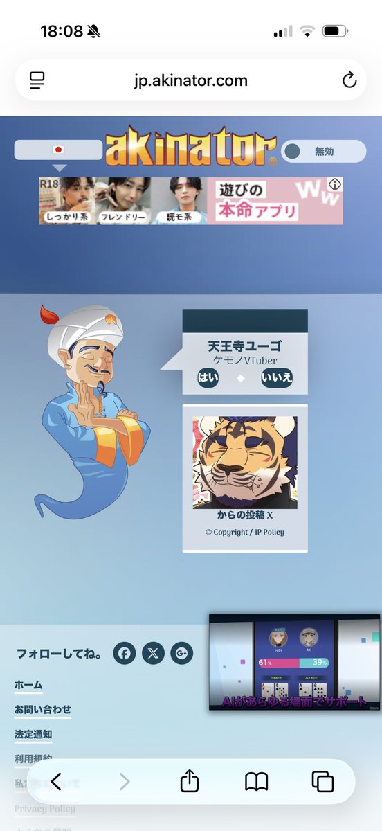 いぬまる tweet media