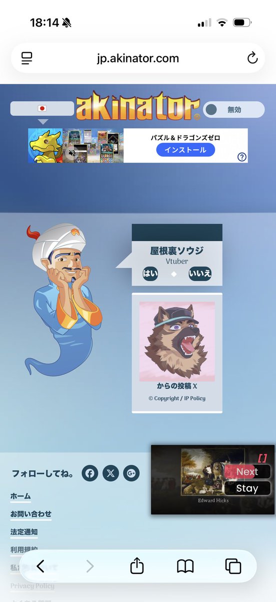 いぬまる tweet media