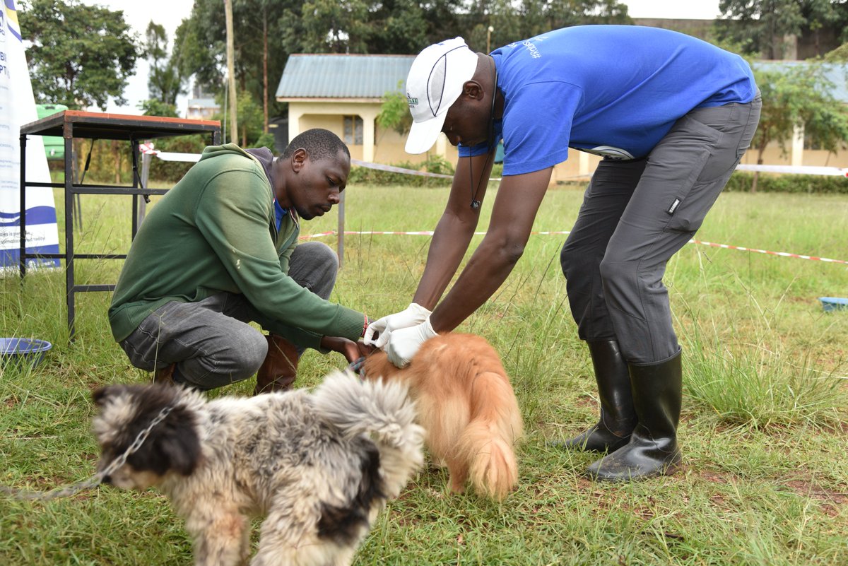 ILRI.org tweet media