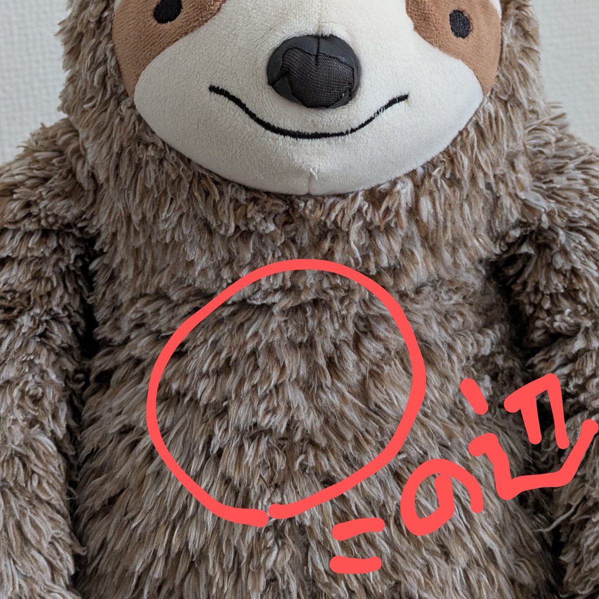 オースティンブラザー tweet media