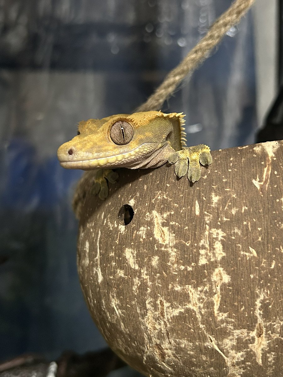 ゆーえぬ tweet media