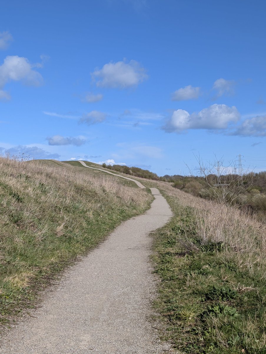 Papadopolis tweet media