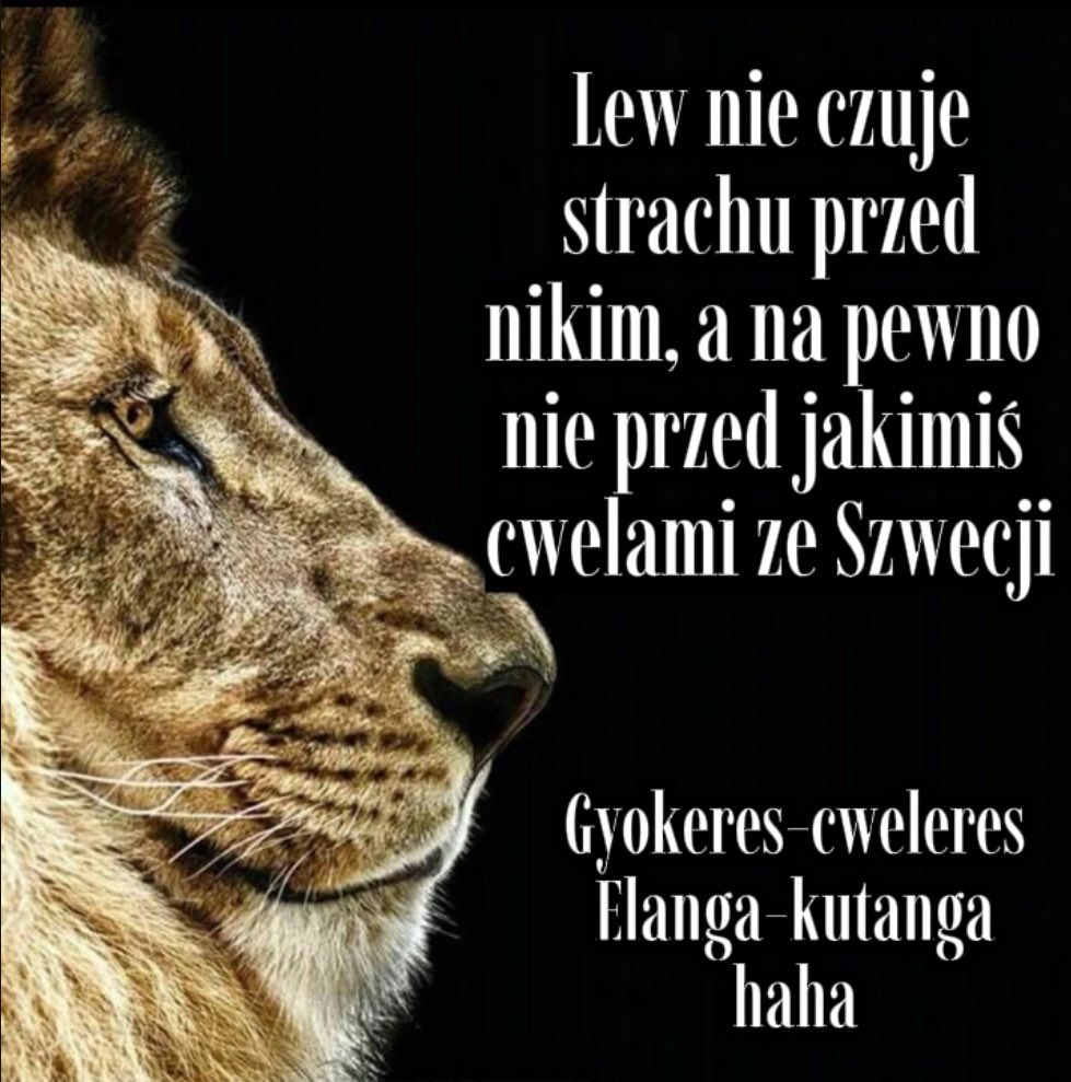 essownik tweet media