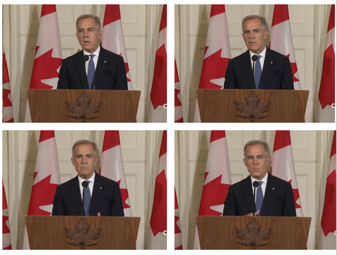 Lion of J tweet media