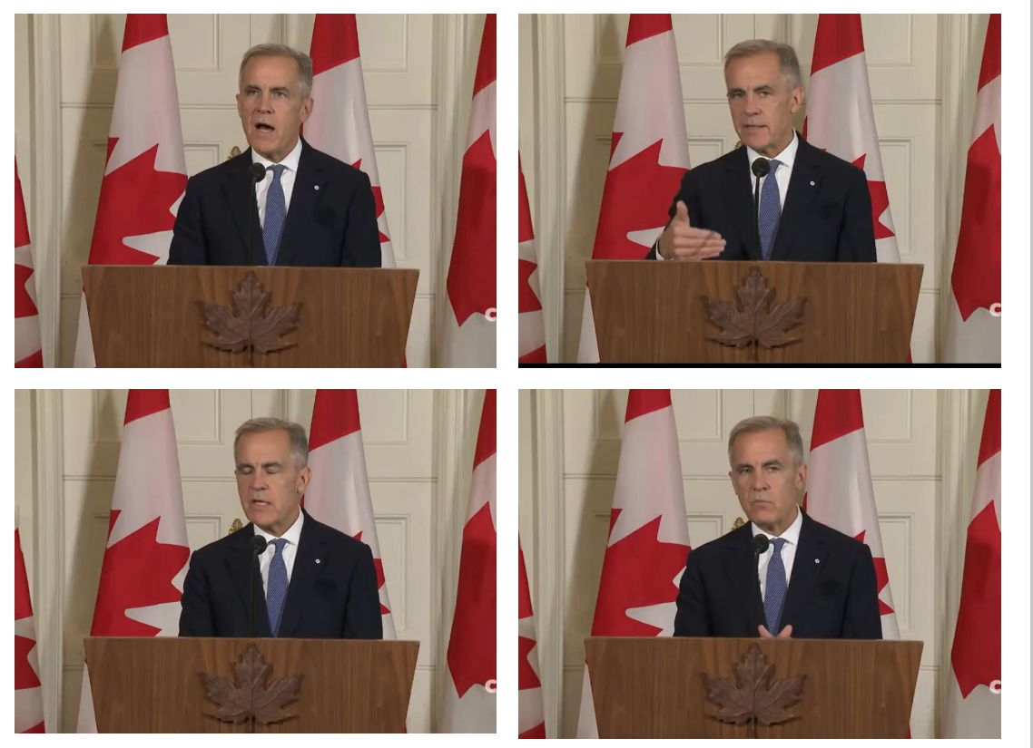 Lion of J tweet media