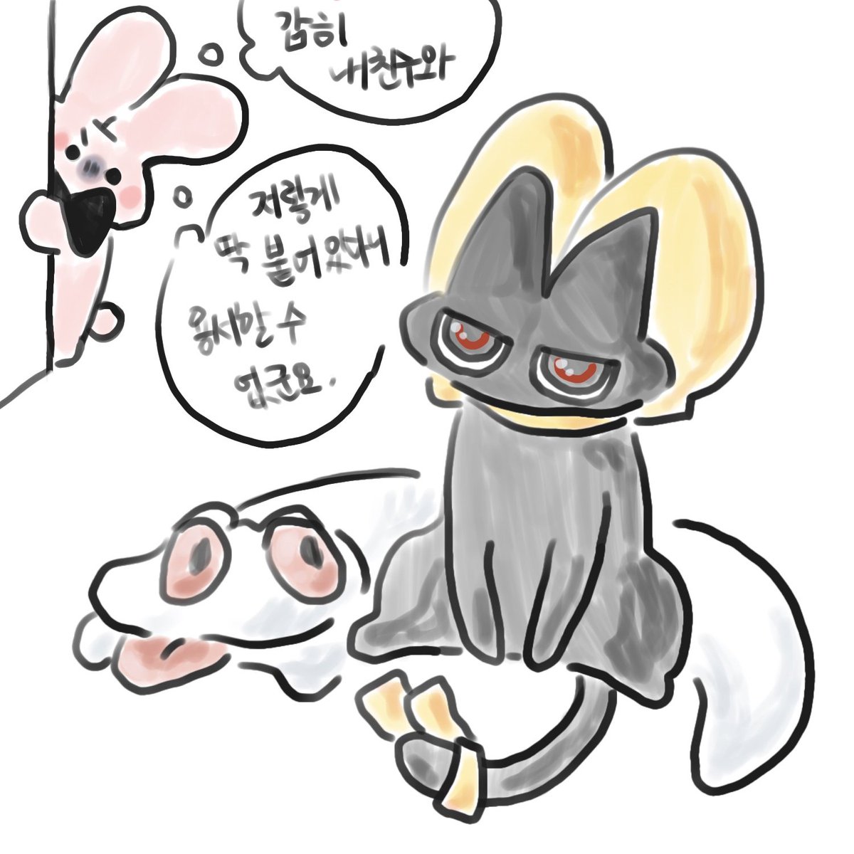 오렝지씨 tweet media