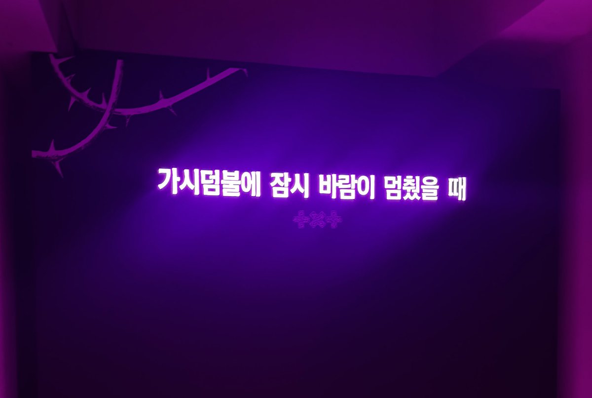 𝑨𝒖𝒃𝒆 tweet media