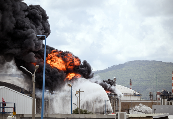 BBS TEREFAYINA tweet media