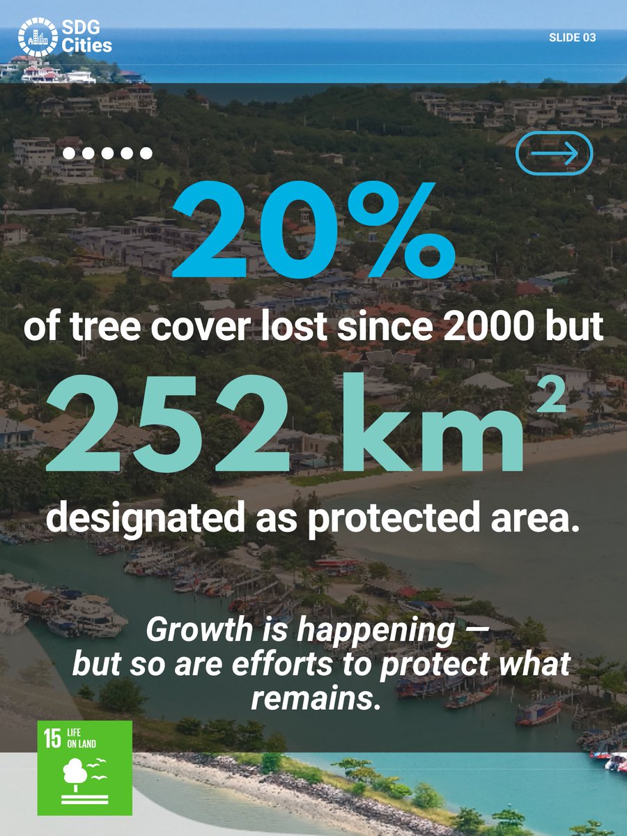 SDG Cities tweet media