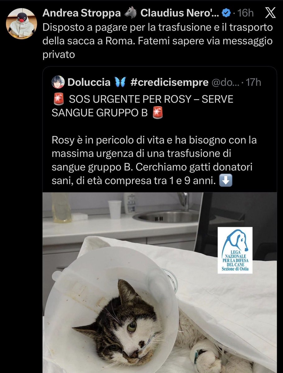 Mambo Italiano tweet media