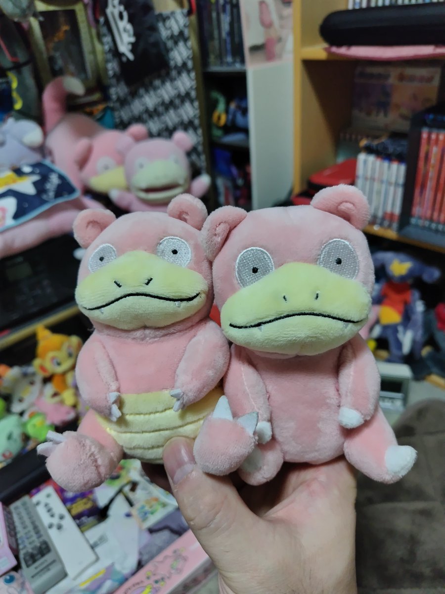 やなぎ博士と相棒ヤドちゃん tweet media