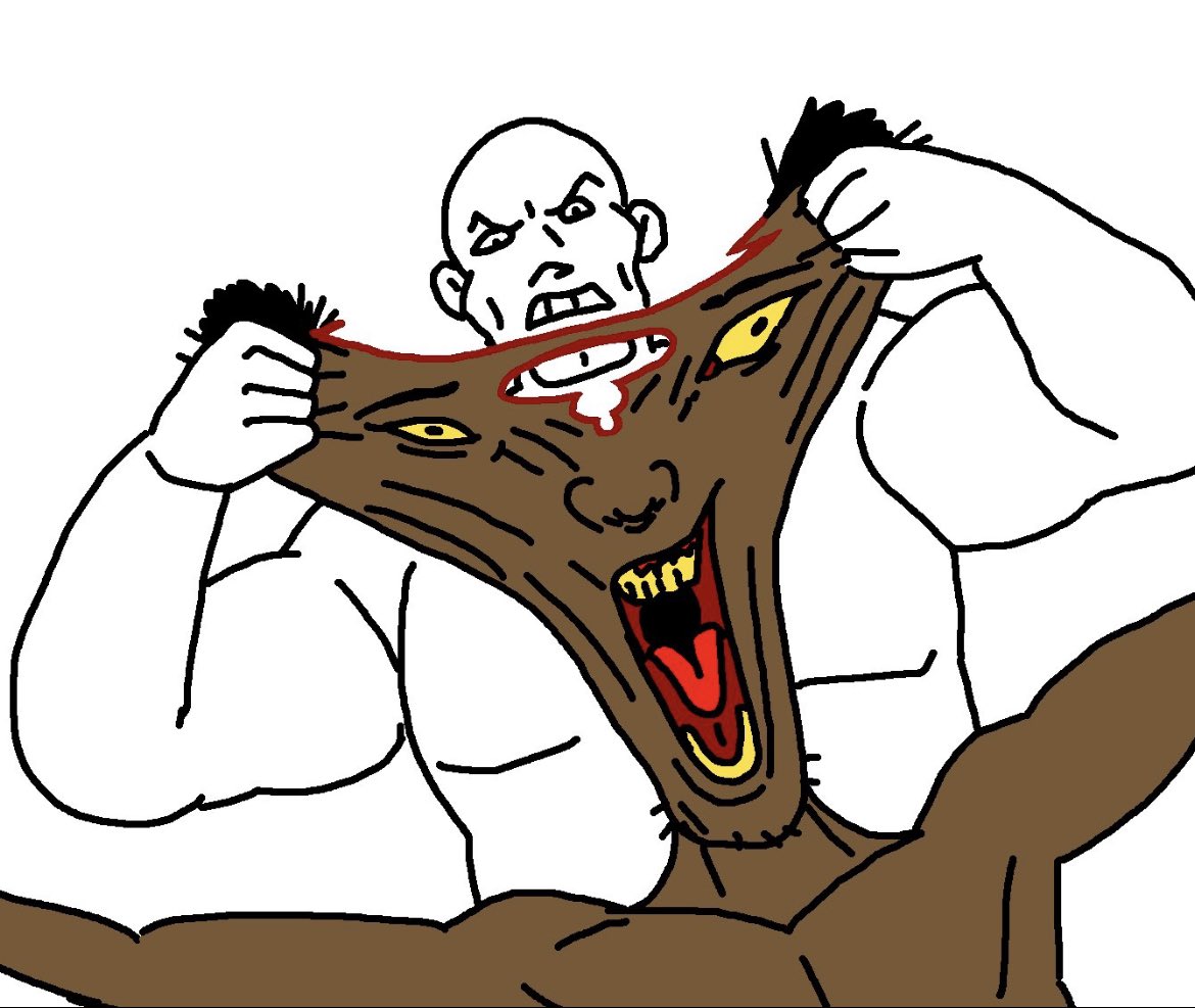 Lizard of Memes tweet media