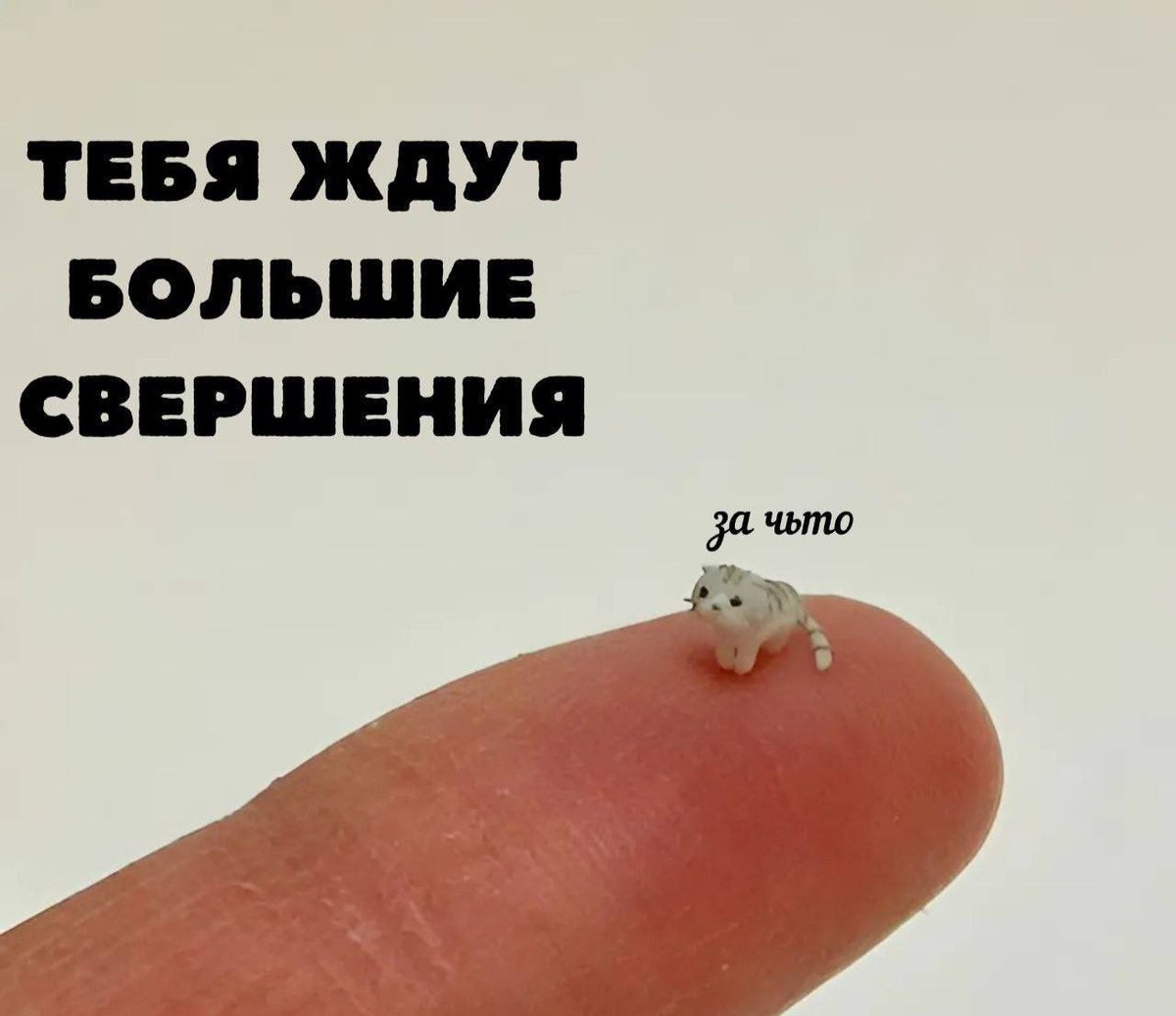 Бутербред. Как бутер, только бред. tweet media