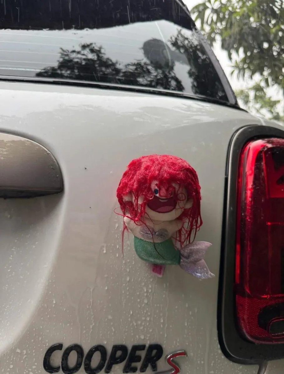 tealos❦🫧☘️ tweet media