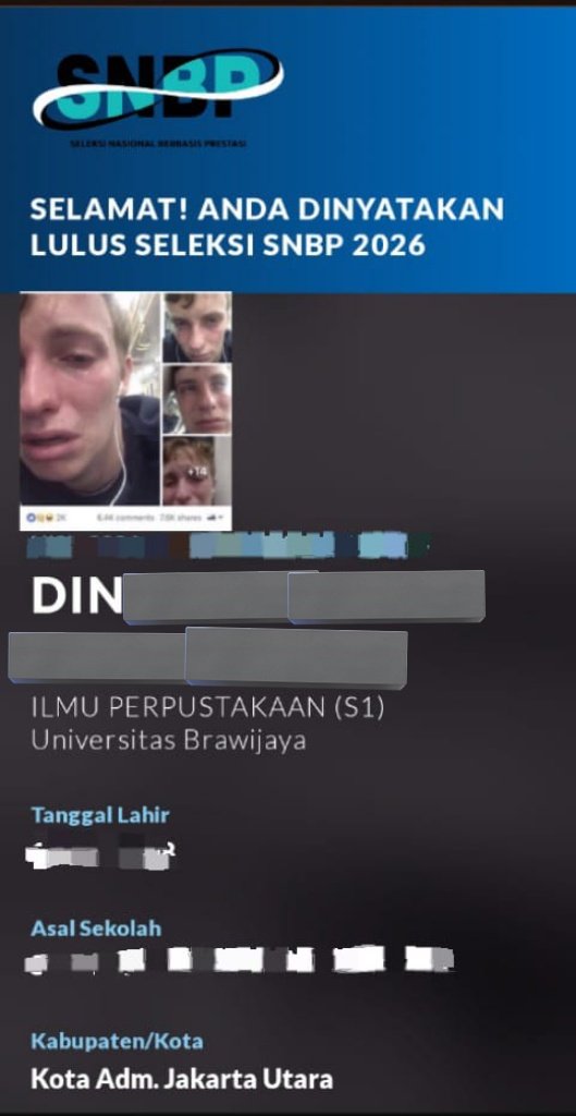 din🐝 ROLOO 🔜 tweet media