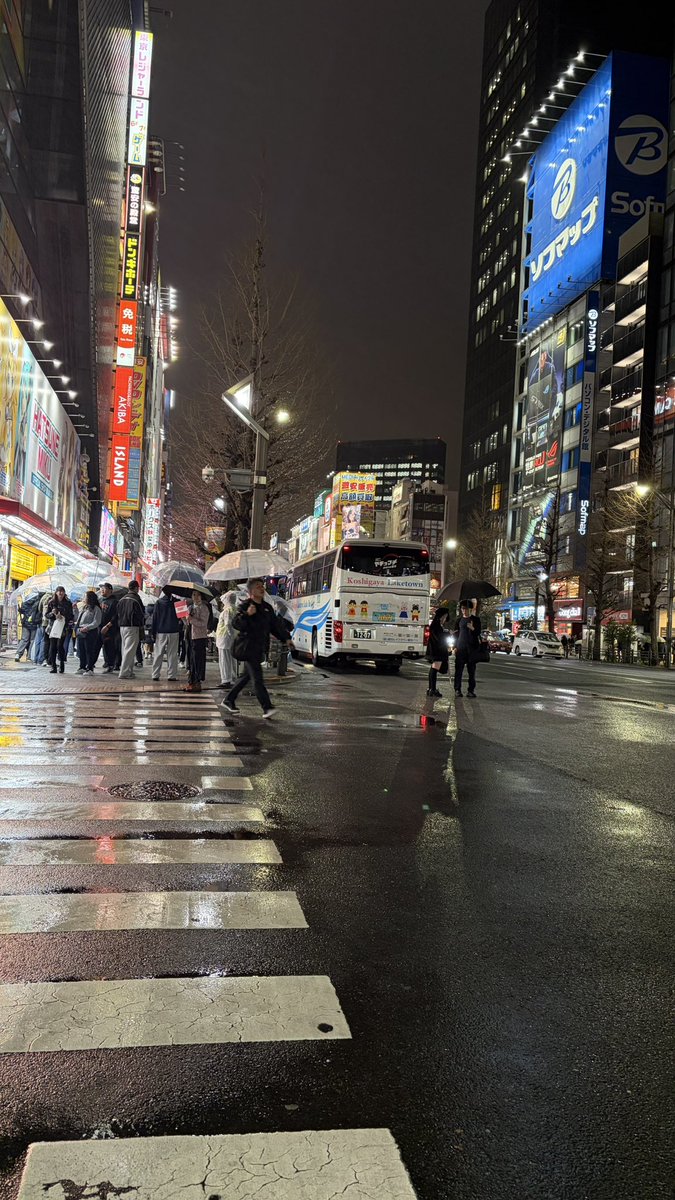 Javi 🦁ジャヴィ 🌸 Suzuka’26 tweet media