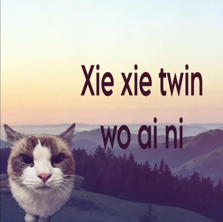 ByteSlayer tweet media