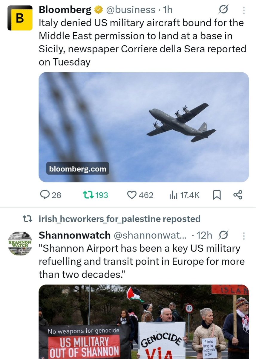 Lynn Boylan 🍷📖🐾 tweet media