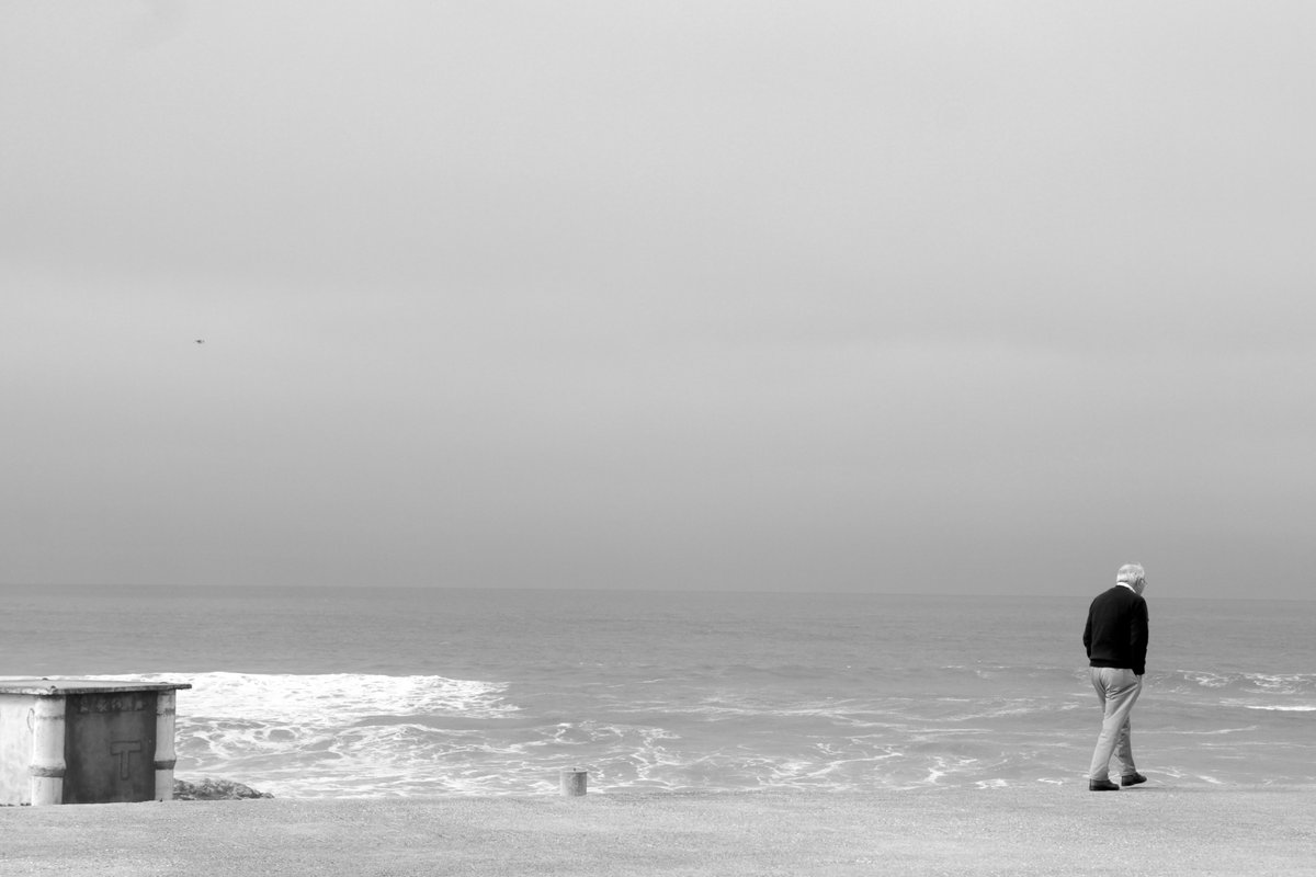 Gonçalo Afonso Dias tweet media